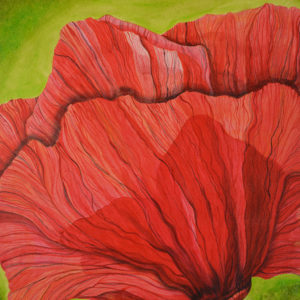 19. Red fan / rot Fan / Abanico rojo