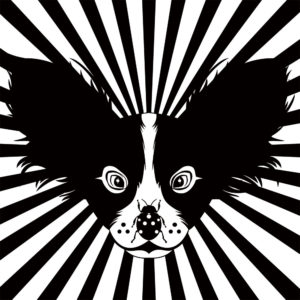 Dog Dog