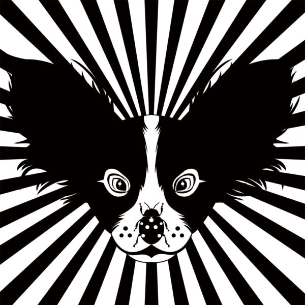 Dog Dog