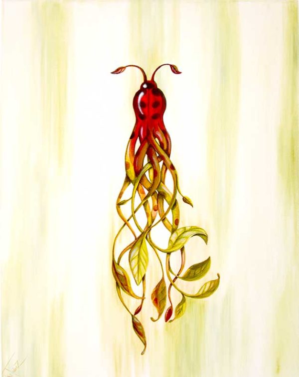 22. Heart ladybug-Catarina Tierra