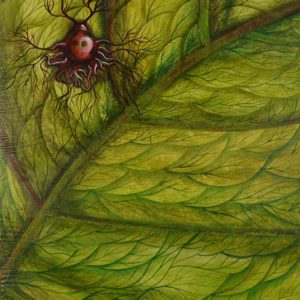 27. Leav / Blatt / Hoja
