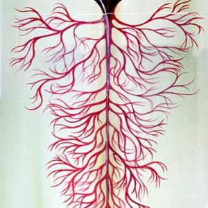 23. Leaves / Laub / Hojas