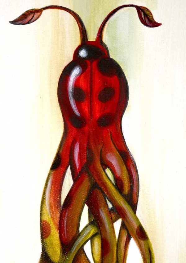 22. Heart ladybug-Catarina Tierra - Image 2