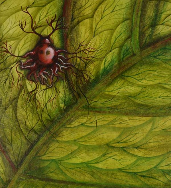 27. Leav / Blatt / Hoja - Image 2